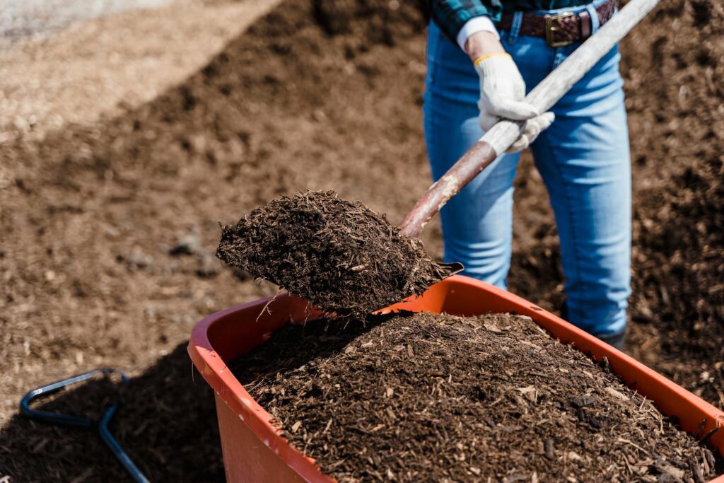 Homemade Fertilizer for Potted Plants